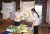 Tổng Hợp 220 Đề Tài Khoa Học Kỹ Thuật Cấp Trung Học Tiềm Năng Nhất: Khơi Nguồn Ý Tưởng Đột Phá